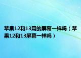 蘋果12和13用的屏幕一樣嗎（蘋果12和13屏幕一樣嗎）