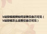 b站投稿視頻如何設(shè)置僅自己可見（b站投稿怎么設(shè)置僅自己可見）