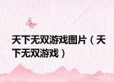 天下無雙游戲圖片（天下無雙游戲）