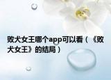 敗犬女王哪個(gè)app可以看（《敗犬女王》的結(jié)局）