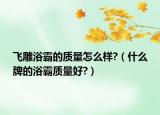 飛雕浴霸的質(zhì)量怎么樣?（什么牌的浴霸質(zhì)量好?）