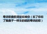 粵語歌曲歌詞是忘掉你（忘了你忘了我曲子一樣女的唱的粵語的歌）