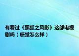 有看過《黑狐之風(fēng)影》這部電視劇嗎（感覺怎么樣）