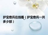 護(hù)寶奇兵在線看（護(hù)寶奇兵一共多少部）