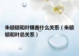 朱鎖鎖和葉錦言什么關(guān)系（朱鎖鎖和葉總關(guān)系）