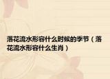 落花流水形容什么時(shí)候的季節(jié)（落花流水形容什么生肖）
