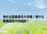 有什么歌曲適合大合唱（有什么歌曲適合大合唱的）