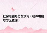 社保電腦號怎么填寫（社保電腦號怎么查詢）