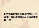 抖音怎么說我不愛你dj純音樂（抖音里一首帶dj的歌可不可以讓我愛你一次）