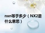 nxn等于多少（NX2是什么意思）