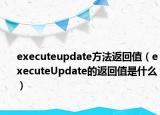 executeupdate方法返回值（executeUpdate的返回值是什么）