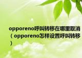 opporeno呼叫轉(zhuǎn)移在哪里取消（opporeno怎樣設(shè)置呼叫轉(zhuǎn)移）