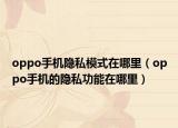 oppo手機(jī)隱私模式在哪里（oppo手機(jī)的隱私功能在哪里）