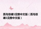 孤島驚魂1完整中文版（孤島驚魂1完整中文版）