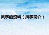 風(fēng)箏的資料（風(fēng)箏簡介）