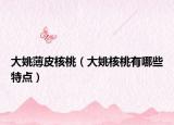 大姚薄皮核桃（大姚核桃有哪些特點(diǎn)）