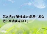 怎么把pdf轉(zhuǎn)換成txt免費（怎么把PDF轉(zhuǎn)換成TXT）