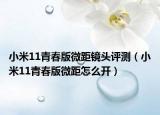 小米11青春版微距鏡頭評測（小米11青春版微距怎么開）