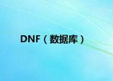 DNF（數(shù)據(jù)庫）
