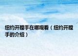 紐約開膛手在哪觀看（紐約開膛手的介紹）