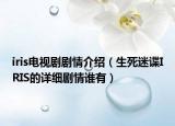 iris電視劇劇情介紹（生死迷諜IRIS的詳細(xì)劇情誰(shuí)有）