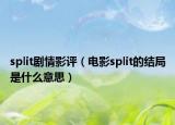 split劇情影評（電影split的結局是什么意思）