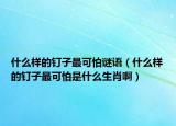 什么樣的釘子最可怕謎語（什么樣的釘子最可怕是什么生肖?。? /></span></a>
                        <h2><a href=