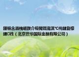 鍖椾含涓栧崕鍥介檯閲戣瀺淇℃伅鏈夐檺鍏徃（北京世華國際金融有限公司）