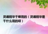 靈魂精華干嘛用的（靈魂精華是干什么用的呀）