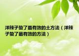 洋辣子蟄了最有效的土方法（洋辣子蟄了最有效的方法）
