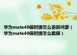 華為mate40保時(shí)捷怎么更新鴻蒙（華為mate40保時(shí)捷怎么截屏）