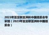 2023年亞足聯(lián)亞洲杯中國組委會專家組（2023年亞足聯(lián)亞洲杯中國組委會）