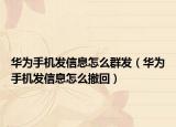 華為手機(jī)發(fā)信息怎么群發(fā)（華為手機(jī)發(fā)信息怎么撤回）