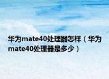 華為mate40處理器怎樣（華為mate40處理器是多少）