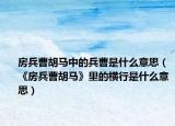 房兵曹胡馬中的兵曹是什么意思（《房兵曹胡馬》里的橫行是什么意思）