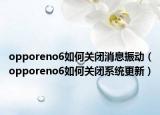 opporeno6如何關(guān)閉消息振動（opporeno6如何關(guān)閉系統(tǒng)更新）