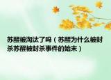 蘇醒被淘汰了嗎（蘇醒為什么被封殺蘇醒被封殺事件的始末）