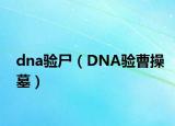 dna驗尸（DNA驗曹操墓）