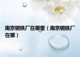 南京鋼鐵廠在哪里（南京鋼鐵廠在哪）