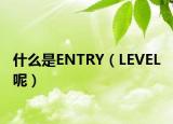 什么是ENTRY（LEVEL 呢）