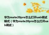 華為mate20pro怎么打開usb調(diào)試模式（華為mate20pro怎么打開usb調(diào)試）