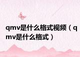 qmv是什么格式視頻（qmv是什么格式）