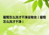 葡萄怎么洗才干凈沒有蟲（葡萄怎么洗才干凈）