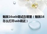 魅族16usb調(diào)試在哪里（魅族16怎么打開usb調(diào)試）