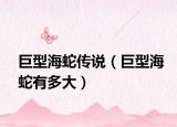 巨型海蛇傳說（巨型海蛇有多大）