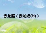 赤龍服（赤龍奴(H)）