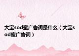 大寶sod蜜廣告詞是什么（大寶sod蜜廣告詞）