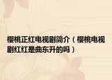 櫻桃正紅電視劇簡(jiǎn)介（櫻桃電視劇紅紅是曲東升的嗎）
