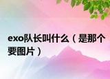 exo隊(duì)長(zhǎng)叫什么（是那個(gè)要圖片）