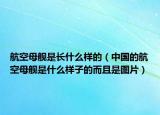 航空母艦是長(zhǎng)什么樣的（中國(guó)的航空母艦是什么樣子的而且是圖片）